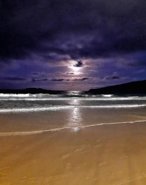 Apartamento Aconchegante A 200 Metros Da Praia Florianopolis Exterior foto